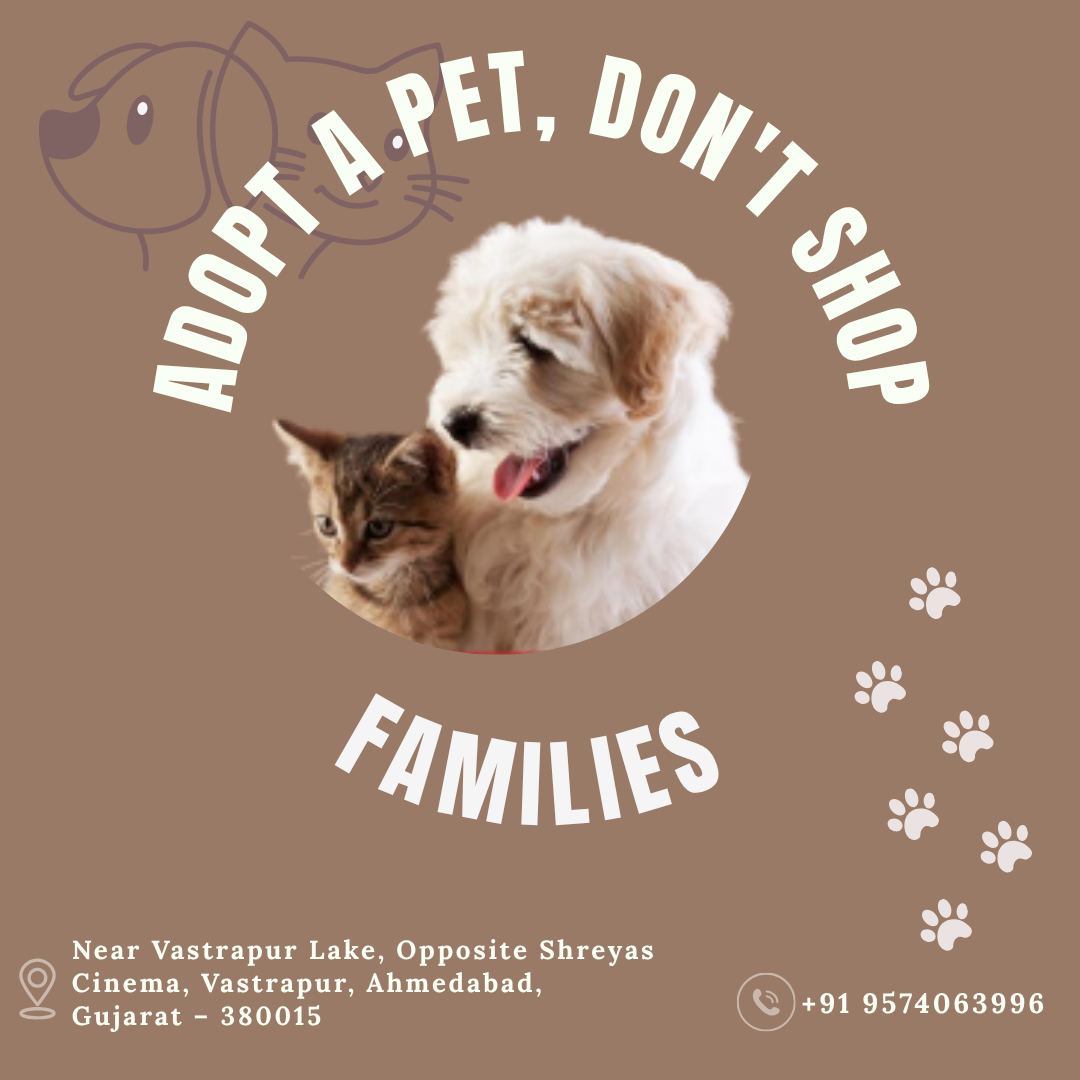 Visit us and be a hero to a local stray dog today!